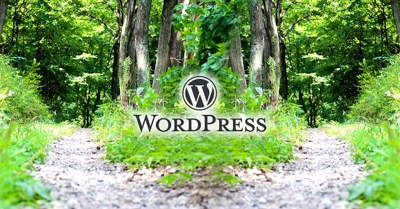 【WordPress】条件分岐タグの使い方を解説 特定のページだけ変更したい