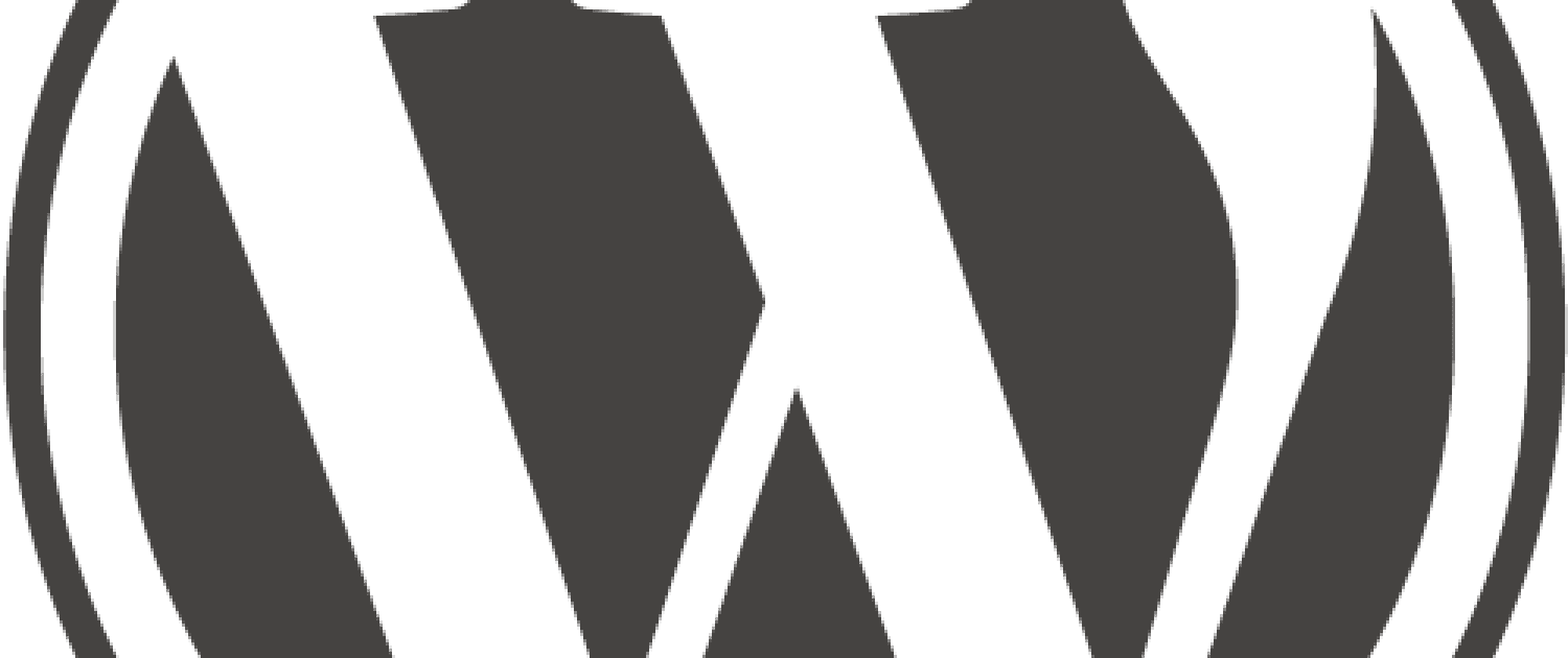 WordPress4.4以降からhead内に挿入されるようになった不要なタグ「Embed」を削除。